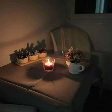 Velickovic Apartament