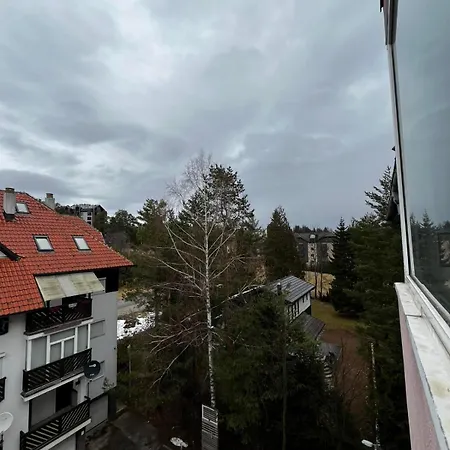 Апартаменты Velickovic