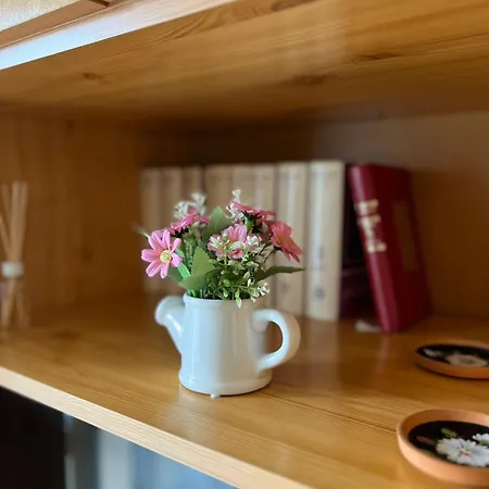 Apartament Velickovic *