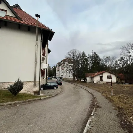 Velickovic Apartament