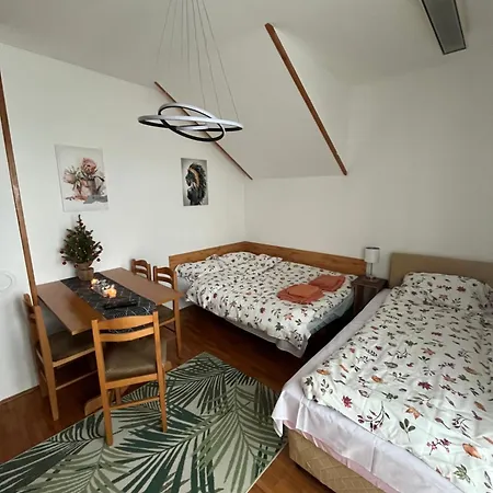 Velickovic Apartament